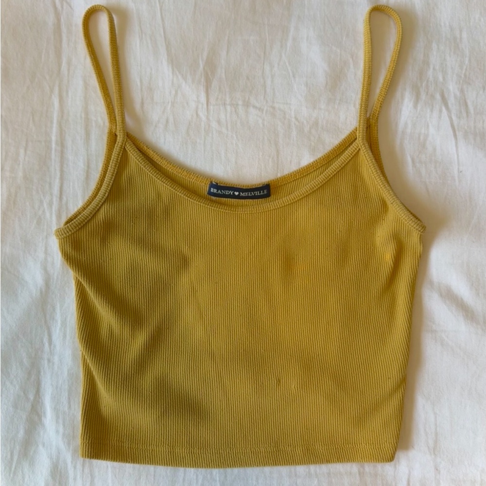 Brandy Melville Crop Top